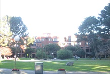 Studio with full amenities in building